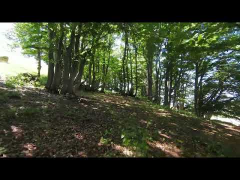 Short Fly - Salève - Dji Fpv