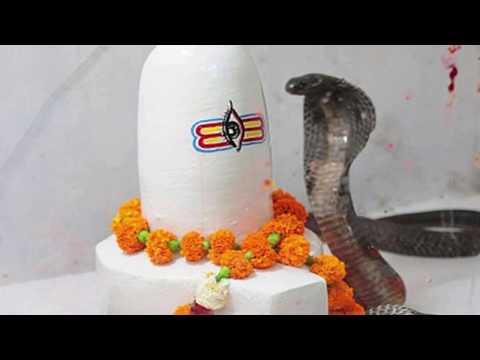 25 July 2020 नागपंचमी पूजा विधि | नागपंचमी पूजा कैसे करे | Nag Panchami | 2020