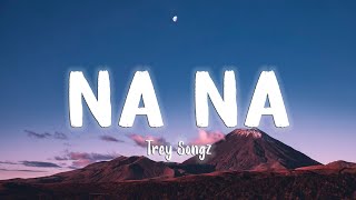 Na Na - Trey Songz [Lyrics/Vietsub]