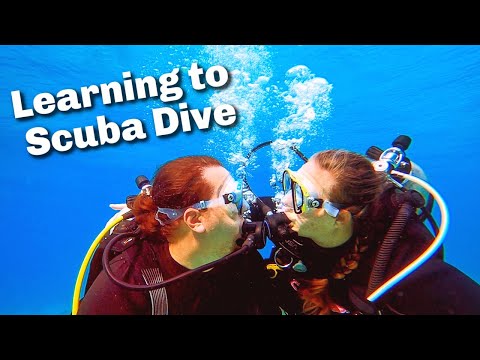 How to Get Your Scuba Open Water Certification in Cozumel, Mexico