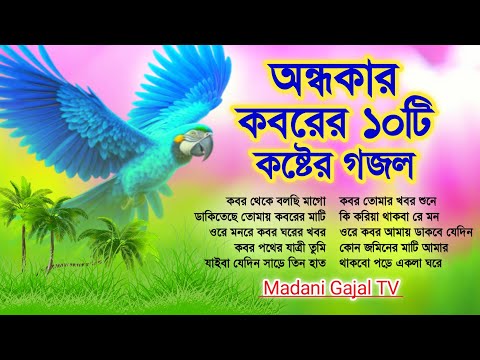 অন্ধকার কবরের ১০টি কষ্টের গজল একবার শুনলে কবরের কথা স্মরণ হবে ইনশাআল্লাহ/Top 10 Heart Touching Gojol