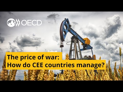 The price of war - How do the CEE countries manage?