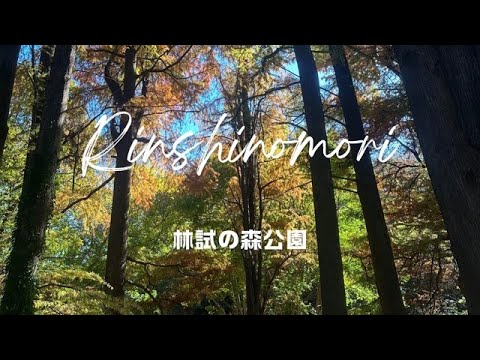 Winter day in Tokyo（Rinshinomori Park）東京での冬の一日（林試の森公園）