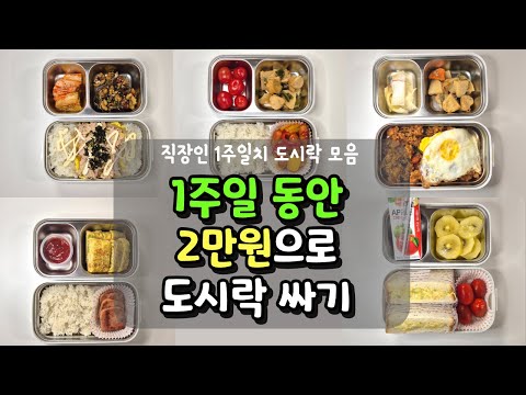 2만원으로 1주일 직장인 도시락 싸기🍽️🍽️/고물가 시대 극복! / 식비 절약 프로젝트!