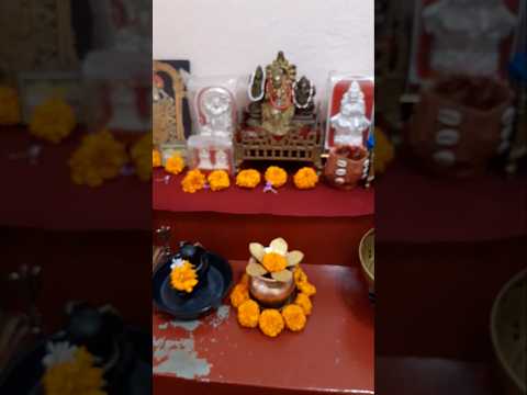 Jo Shiv Jode Nata #karigardidi #shorts #minivlog #viralshort #subscribers #shivpuja