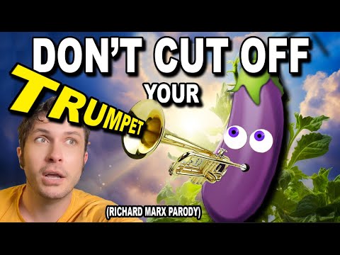 DON'T CUT OFF YOUR 🍆 Richard Marx Parody 🎺🫨