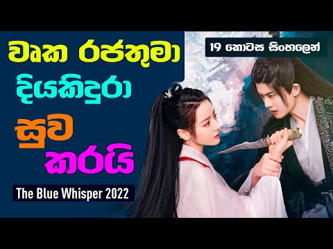 වෘක රජතුමා දියකිදුරා සුවකරයි | The Blue Whisper Sinhala Review | 19 කොටස සිංහලෙන් | CupCakeDramaBite