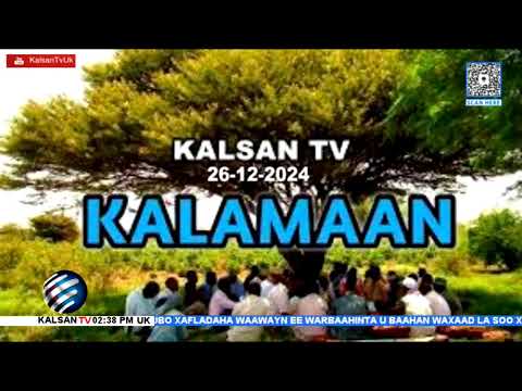 Wararka Telefishinka Kalsan TV By: Maxamed Salaad 28-12-2024.