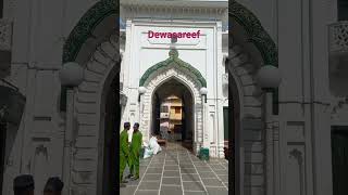 dewasaref#viralvideo#jamalvlogs #viralvideo #vlogs #vilegevlog #trending #reels #share #viral