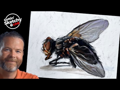 Live Drawing - Fly with Pastels