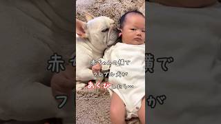 【インスタ110万再生】フレブル犬のあくびが移る赤ちゃん#shorts #フレンチブルドッグ#生後2ヶ月#犬と赤ちゃん