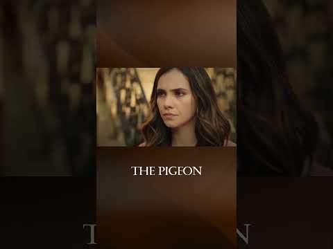 Both a Murderer and a Thief! - The Pigeon #shorts