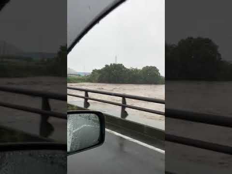 【台風19号】群馬県高崎市吉井町の鏑川の増水　もう橋の上まで来そうです‼️【2019年10月12日】