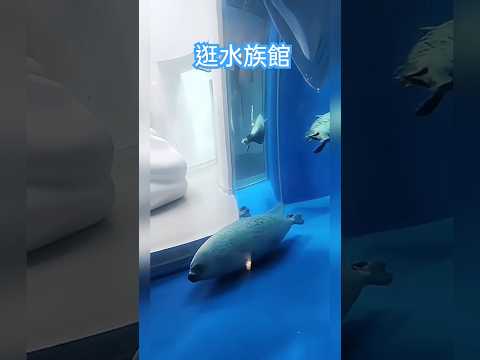 逛水族館 #水族館 #海洋生物