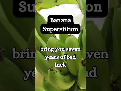 Are Bananas Unlucky?