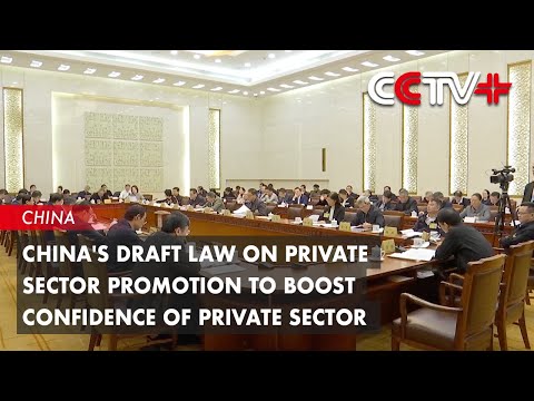 China's Draft Law on Private Sector Promotion to Boost Confidence of Private Sector