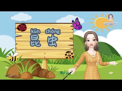 昆虫 Insects | 科学｜学前教育