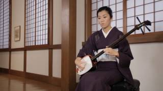 Lute (shamisen)