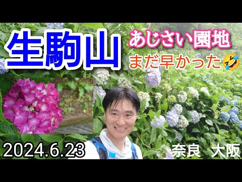 生駒山  紫陽花の群生地へ