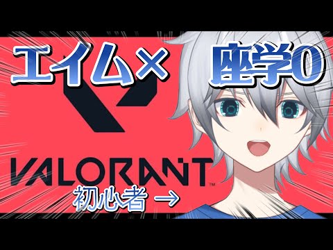 【VALORANT】アタシ頑張るからチャンネル登録してェ!!!!!  超初心者のVALORANT!!初見さん常連さん超歓迎!!