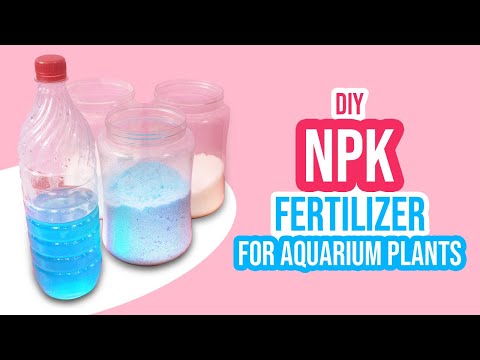 DIY Liquid NPK Fertilizer for Aquarium Plants ☘️🌱