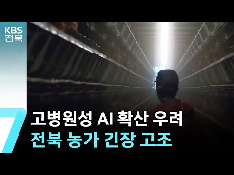 고병원성 AI 확산 우려…전북 농가 긴장 고조 / KBS  2024.12.24.