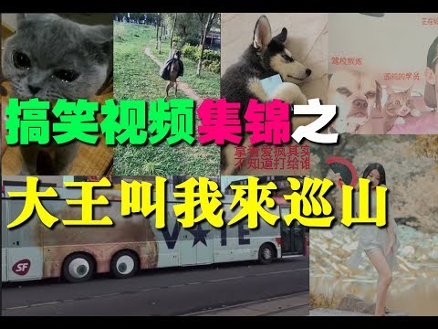 搞笑视频之：大王叫我来巡山！教练怎么不开心？跳个绳跟开飞机似的..好吃到哭泣