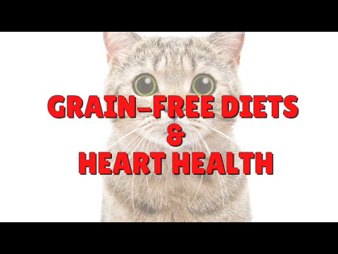 Grain Free Diets And DCM In Cats | Two Crazy Cat Ladies