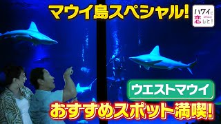 【BS12ハワイに恋してｘハワイ州観光局】マウイ島特別番組ウェスト・マウイ編（マウイ・オーシャン・センター＆ショッピング＆グルメ）