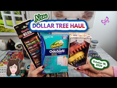 Awesome NEW DOLLAR TREE HAUL!  Amazing Finds!! October 18, 2024