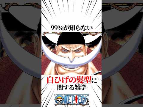 【ワンピース】99％が知らない白ひげの髪型に関する雑学 #shorts #onepiece