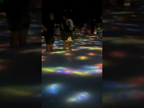 People walk into the water that stretches into infinity with Koi swimming on its surface at teamLab!