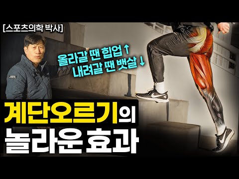 최고의 헬스장은 아파트 안에 있다. 체지방 무섭게 태우는 계단 오르기 방법 (김병곤 박사 2부)