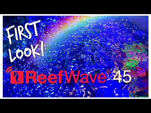 Red Sea reefWAVE 45 - First Look!