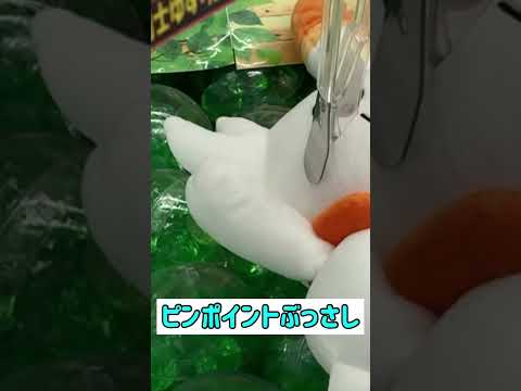 ポケモンぬいぐるみを完全攻略しちゃいました【ヒバニー】 #クレーンゲーム