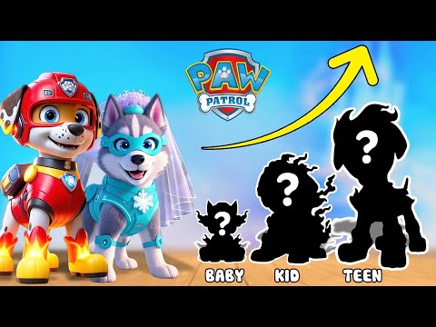 PAW Patrol Mighty Pups Growing Up Compilation | Go Wow