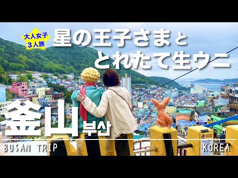 甘川文化村で星の王子さまに会ったあとは海女村でのウニキンパ＆釜山駅でお土産探し。そして荒波のビートルで福岡へ【初めての釜山旅行Vlog③】