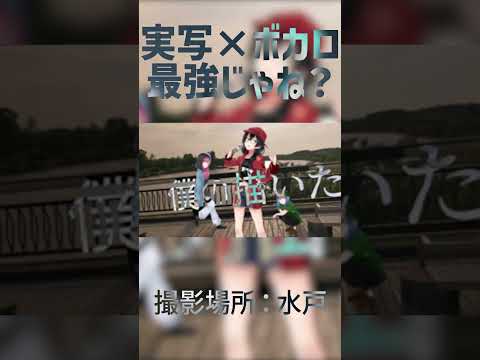 実写×ボカロって最強じゃね？　【TreatHunters feat.花隈千冬、琴葉茜、琴葉葵】#Shorts