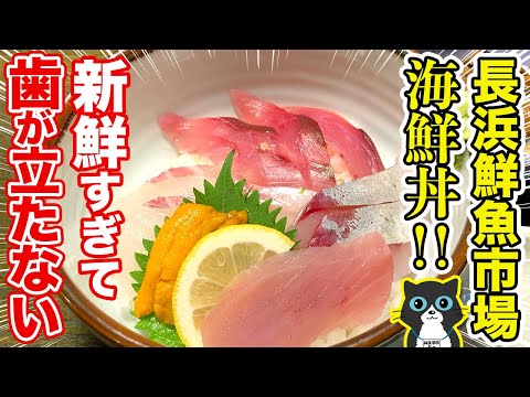 【新鮮すぎて歯が立たない海鮮丼!！】長浜鮮魚市場にある食事処で！鮮度抜群の海鮮丼をいただく！