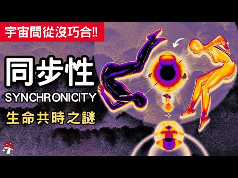 【隱藏的秩序】宇宙中絕無巧合！一切都是有意義的安排｜同步性｜共時性｜卡爾榮格