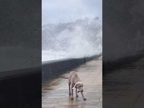 STORM KATHLEEN ⛈️ Battering Laxey 🌊 #Storm #StormKathleen #Isleofman #badweather