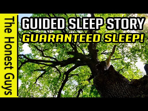 "The Great Oak" Guided Sleep Story Meditation (The Haven Series)