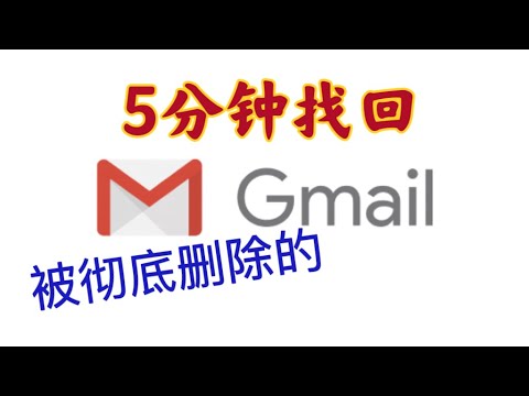 ⚠️5分钟，找回被彻底删除的Gmail邮件 - Five Minutes, Recover Permanently Deleted Emails in Gmail