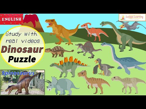 [ English ]Dinosaur puzzles & live-action videos 12 types 1 Flashcard videos for toddler kids baby