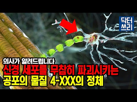 신경 세포를 파괴시키는 공포의 4-XXX의 정체는? (feat. 맥도날드 직원의 자연발화 사건) [루게릭 5편 중에서]