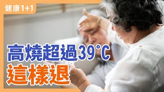 高燒超過39度 這樣退 | 新冠症狀：發燒 自我緩解法 | 新冠症狀：身體疼痛 自我緩解法 | 健康1+1