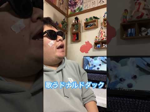 X JAPAN紅を歌うドナルドダック