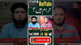 Buffalo Haram Or Halal ??? By Engineer Muhammad Ali Mirza | True EMAM | YT Shorts