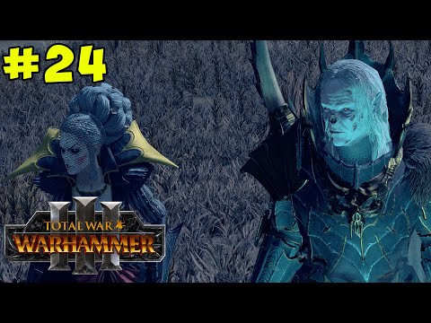 Hitting Vlad Where It Hurts | Total War: WARHAMMER 3 Coop w/ CaptainShack #24