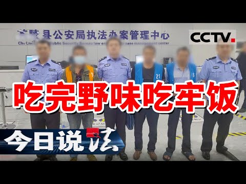 《今日说法》吃野味竟是因为虚荣心？多名嫌疑人因非法猎捕售卖野生动物被捕！20241014 | CCTV今日说法官方频道